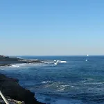 142 Aquamarinas F-14 Dénia