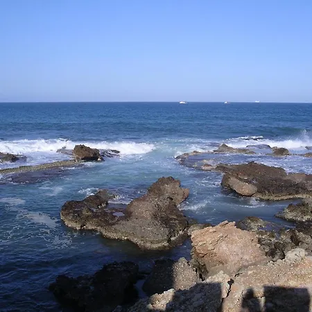 142 Aquamarinas F-14 Denia